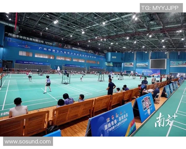 广州羽毛球队比赛经验分析与提升策略探讨