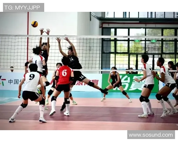 最新排球个人能力排行榜揭晓上海排球队球员表现抢眼位居前列