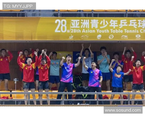 成都乒乓球队在锦标赛中的精彩表现与实力分析