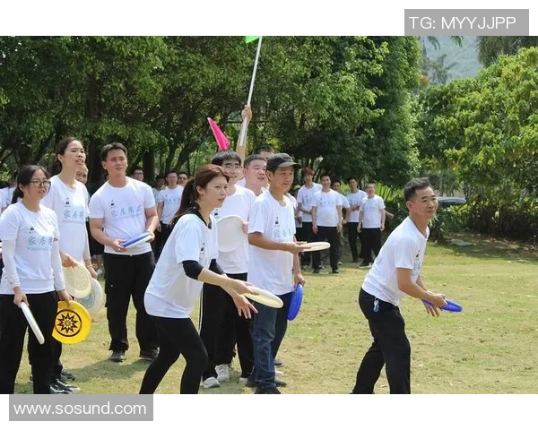 飞盘运动的崛起与发展西安飞盘队展现青春力量与团队精神