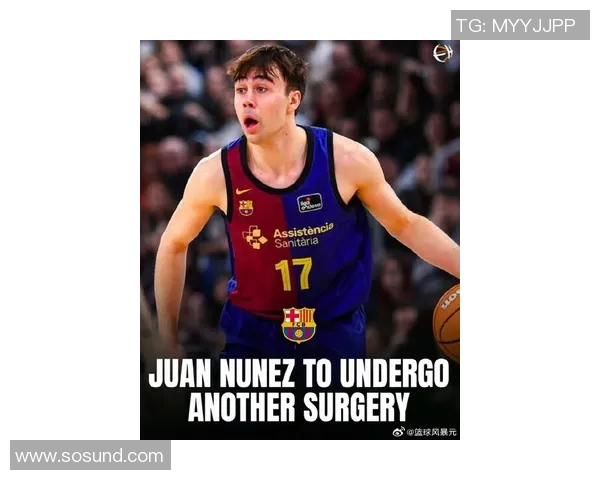 努涅斯在赛季中展现出色表现引发球迷热议与媒体关注 努涅斯在赛季中展现出色表现引发球迷热议与媒体关注