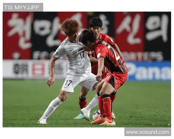 松本山雅与新泻天鹅历史交锋战绩分析及未来展望