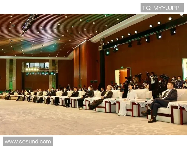 程帅澎：在新时代背景下的青年领袖与创新思维的探索之旅