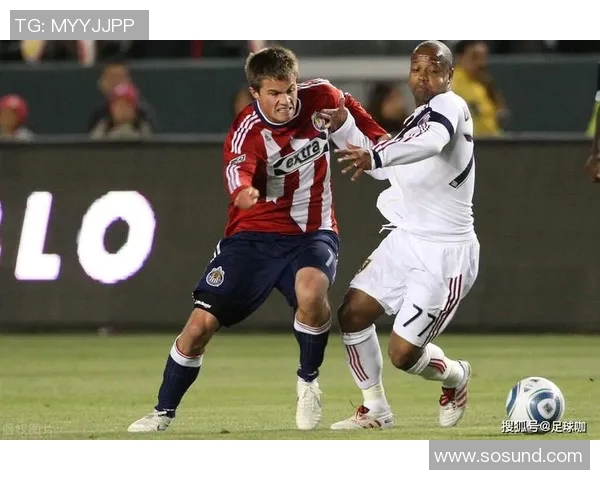 盐湖城与休斯顿新浪的对决分析与未来展望