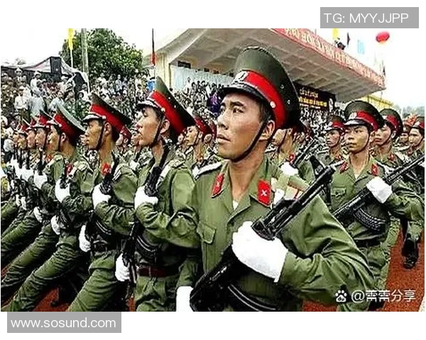 越南与朝鲜军事实力对比分析及其潜在影响探讨