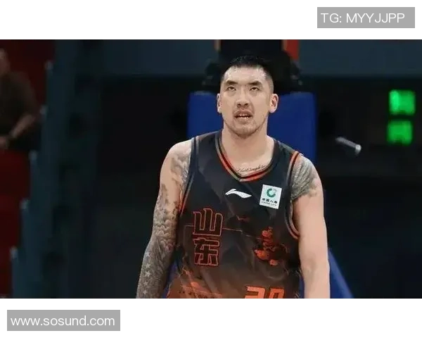 陶汉林：从篮球场上的拼搏到生活中的坚持与梦想追逐之路