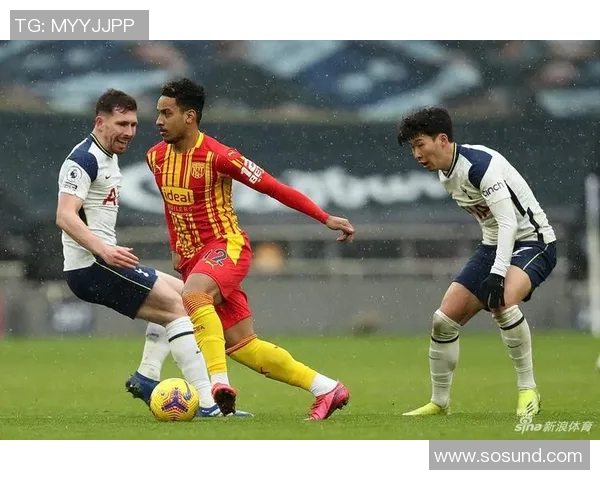 2019年热刺与西布朗激战回顾：精彩瞬间与战术分析