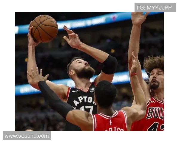 公牛与猛龙历史交锋数据分析及战绩回顾详解