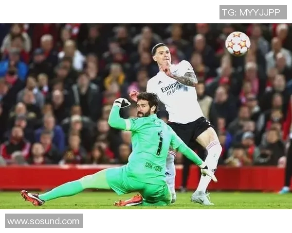 努涅斯：从新星崛起到足球巨星的成长之路与未来展望