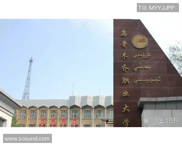 王少杰的成长之路与职业生涯探索：从青涩少年到篮球场上的璀璨明星