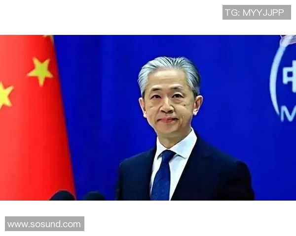 赖斯的外交智慧与全球影响力探讨:从历史到未来的深度分析与展望 赖斯的外交智慧与全球影响力探讨:从历史到未来的深度分析与展望