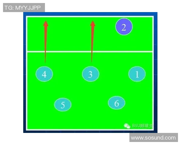 从零基础到排球高手:全面掌握排球技术与战术的实用指南 从零基础到排球高手:全面掌握排球技术与战术的实用指南