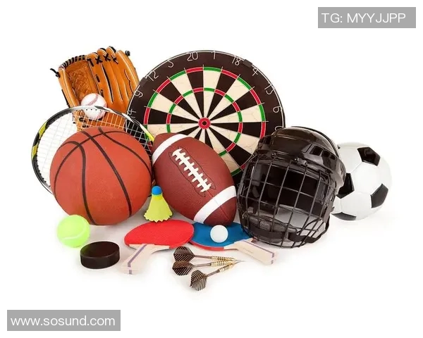 乒乓球爱好者必看：全面解析训练器材选购指南与推荐