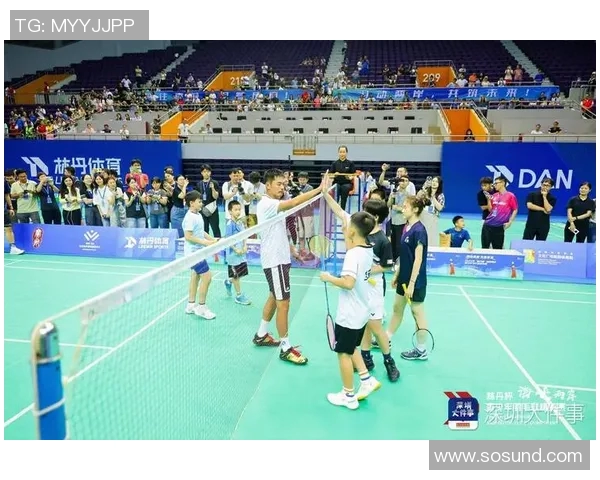 深圳羽毛球队实力提升背后的变革与挑战分析