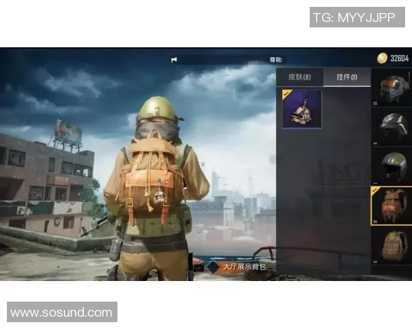 深度对话：吴秀英如何在和平精英中找到人生的意义与乐趣